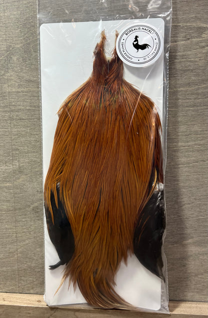 Borealis Hackle - Full Cape Grade 1