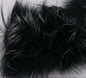 Shimmer Rabbit Strips