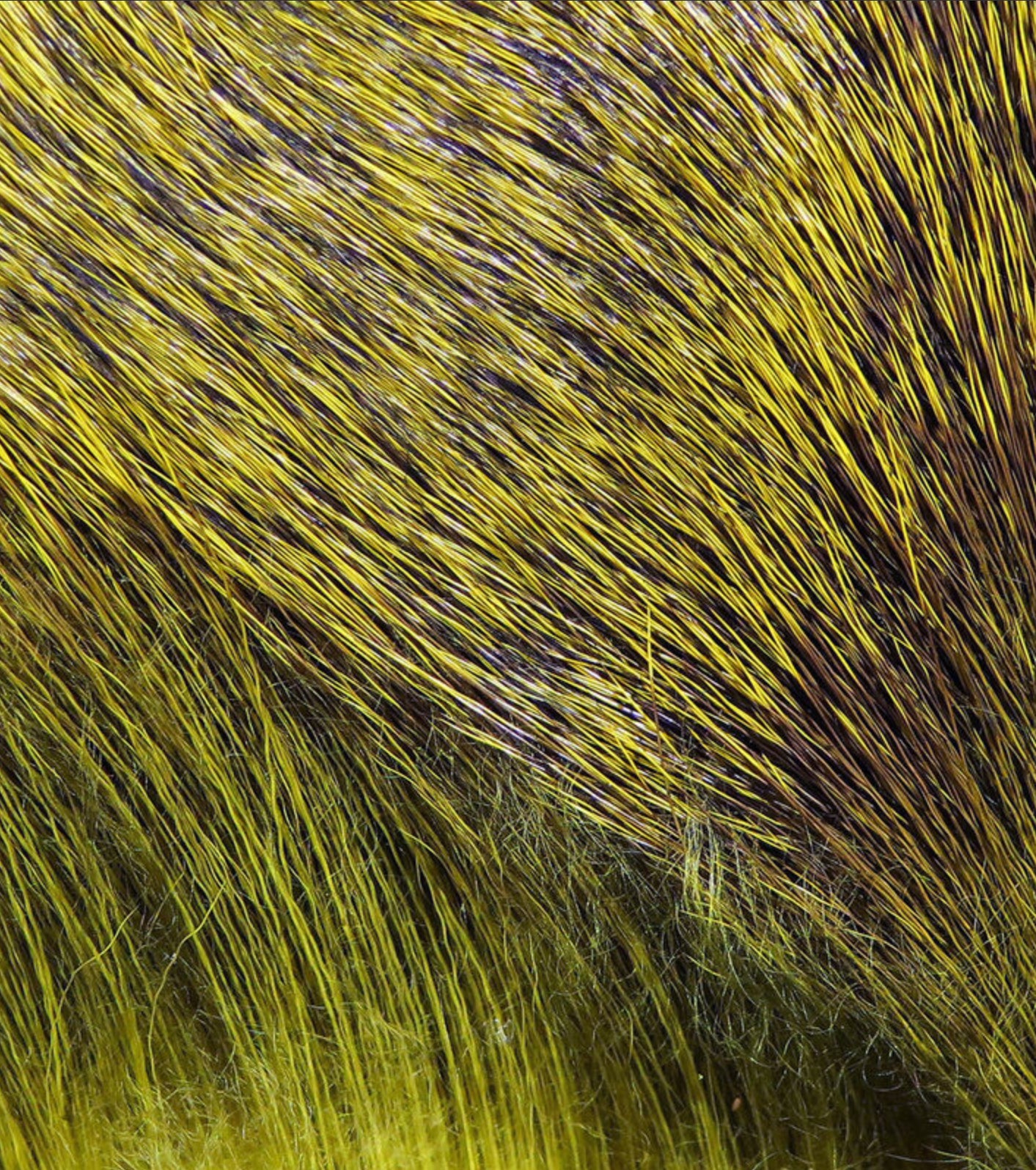 Dyed Deer Body Hair