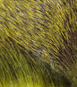Dyed Deer Body Hair