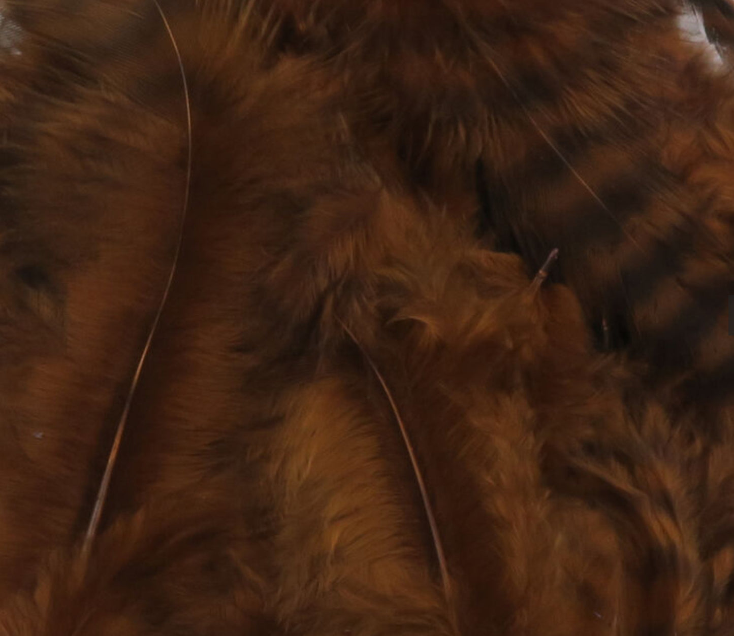 Grizzly Soft Hackle