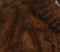 Grizzly Soft Hackle