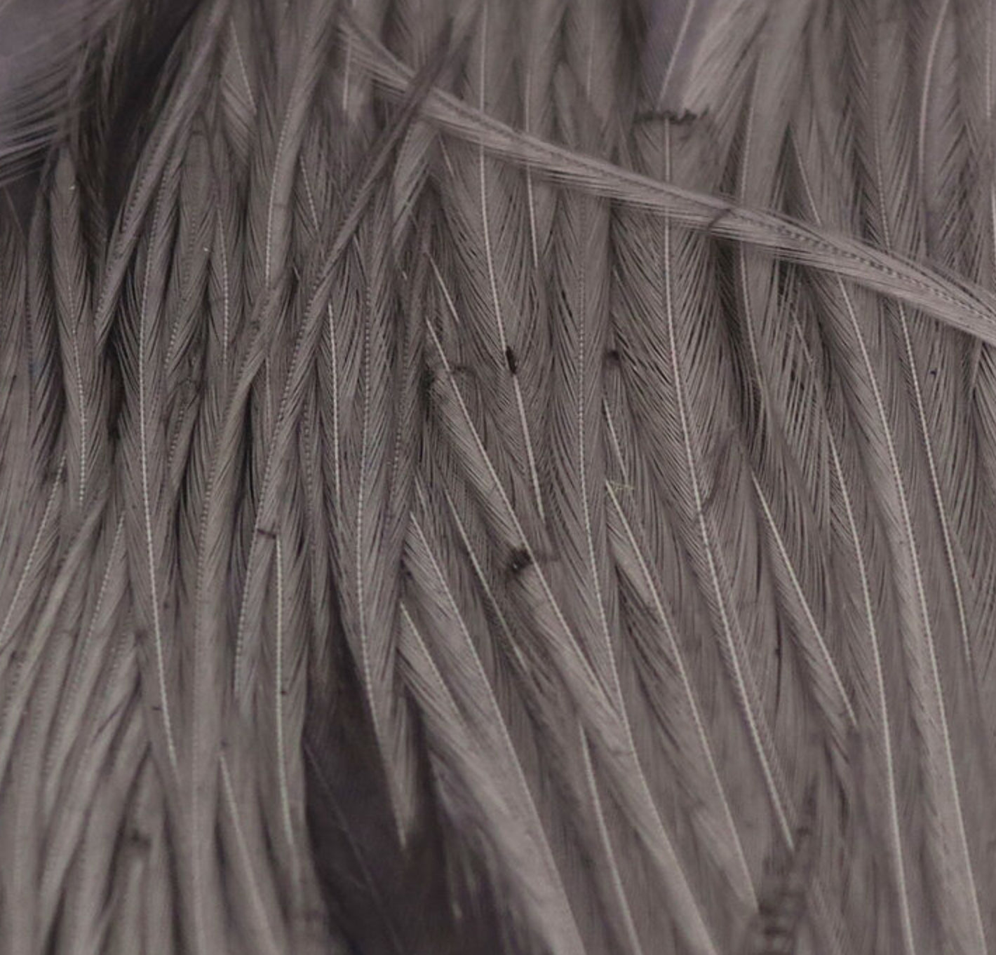 Hareline Half Cape