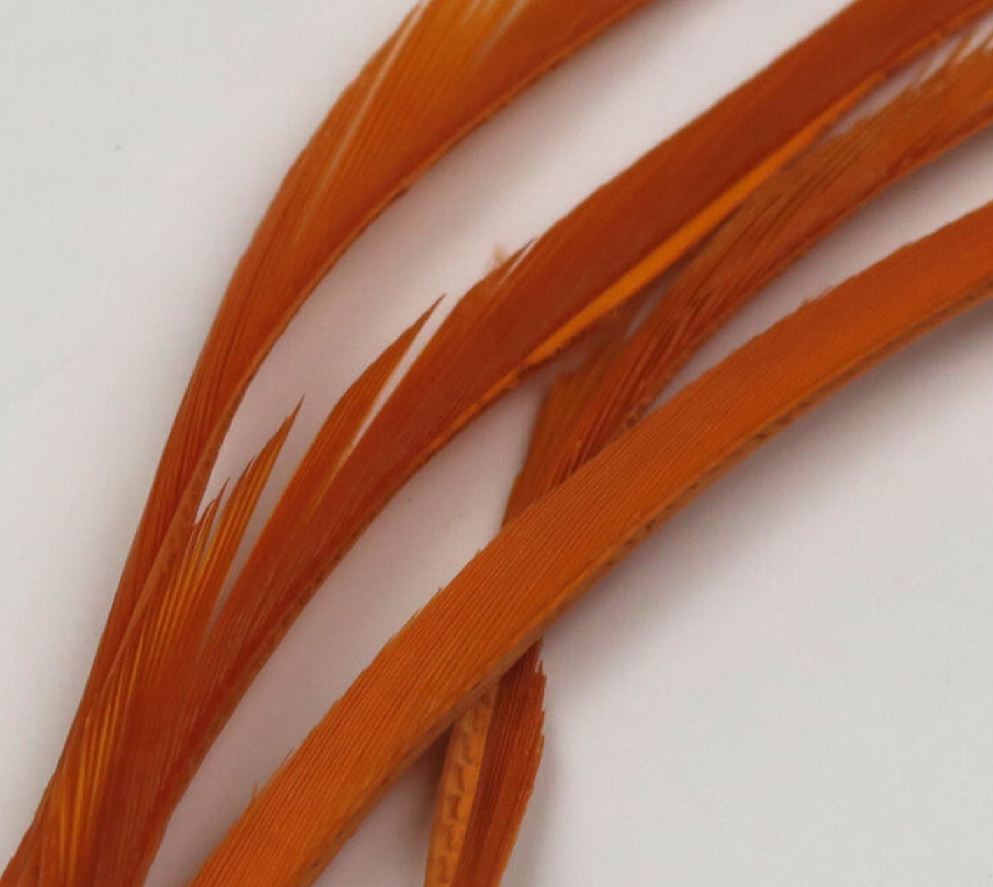 Stripped Goose Biots