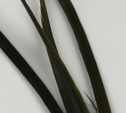 Stripped Goose Biots