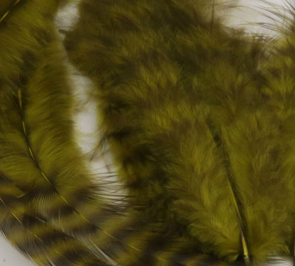 Grizzly Soft Hackle