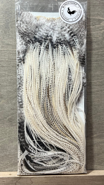 Borealis Hackle - Saddle