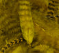 Grizzly Soft Hackle