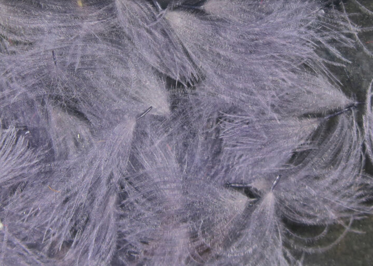 CDC Oiler Puffs
