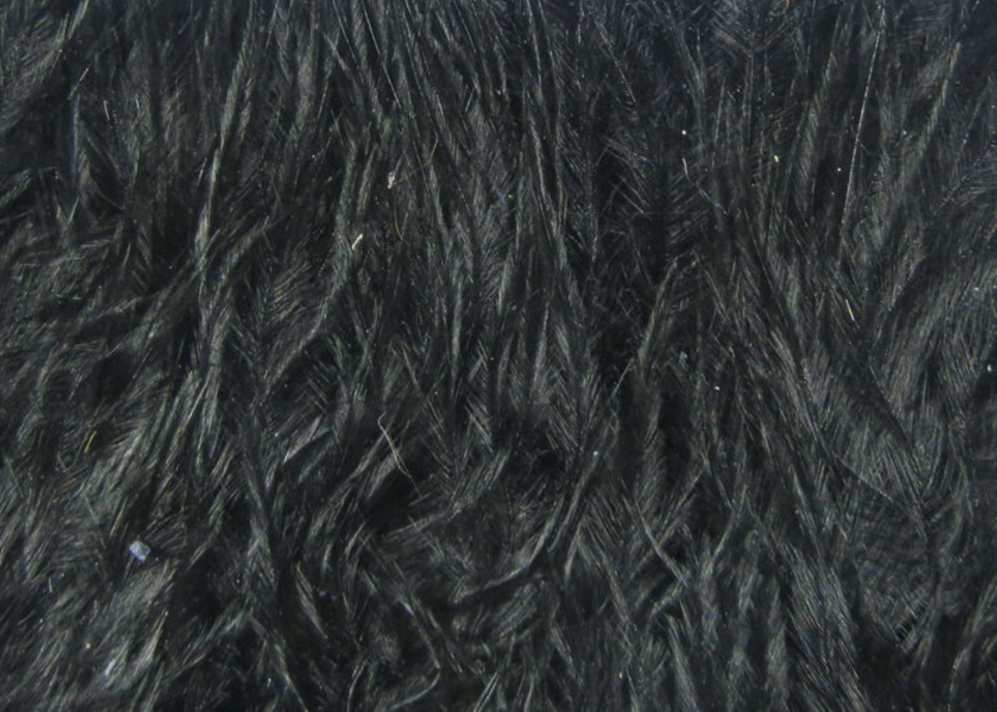 Wooly Bugger Marabou