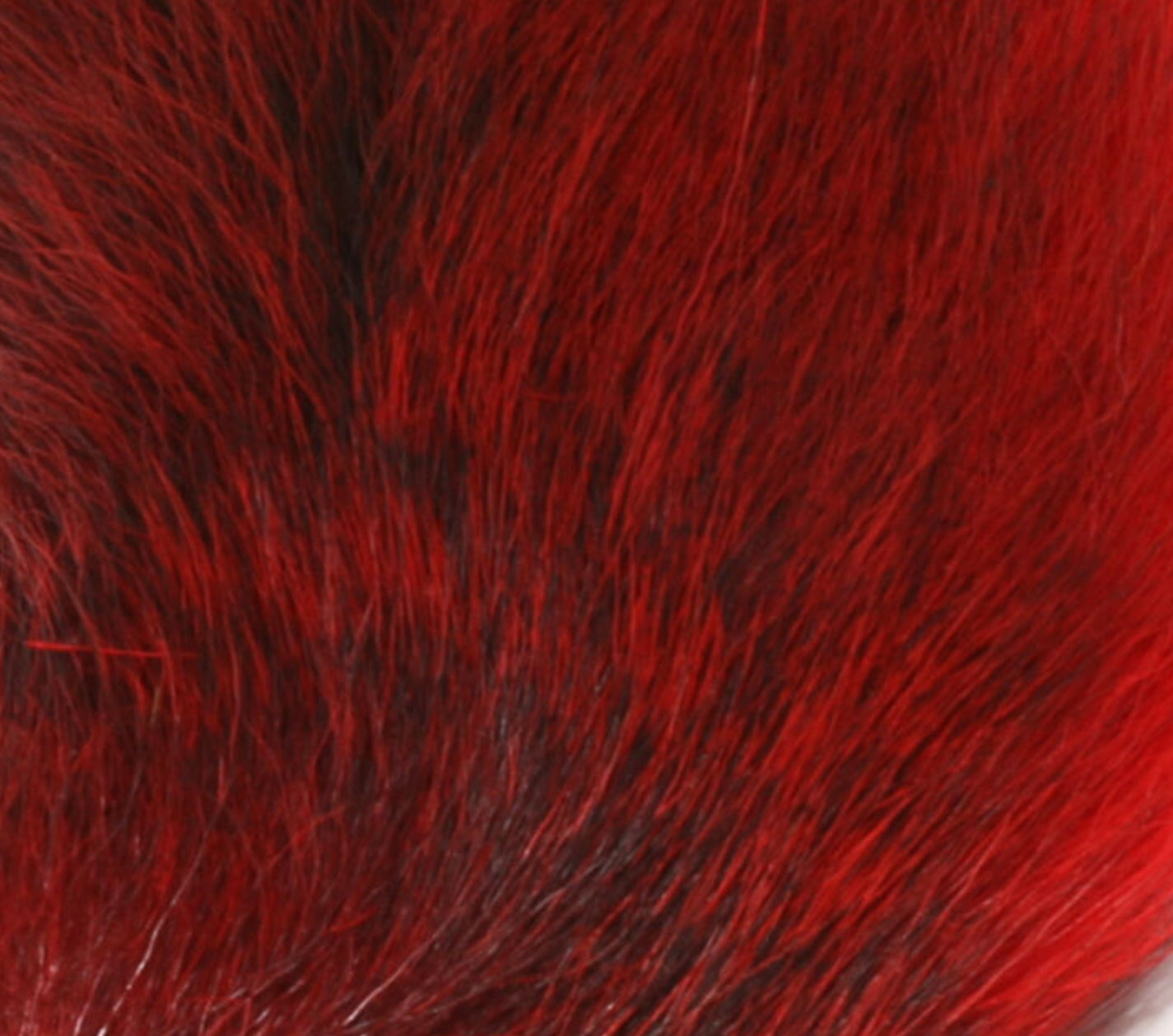 Petit Bucktail