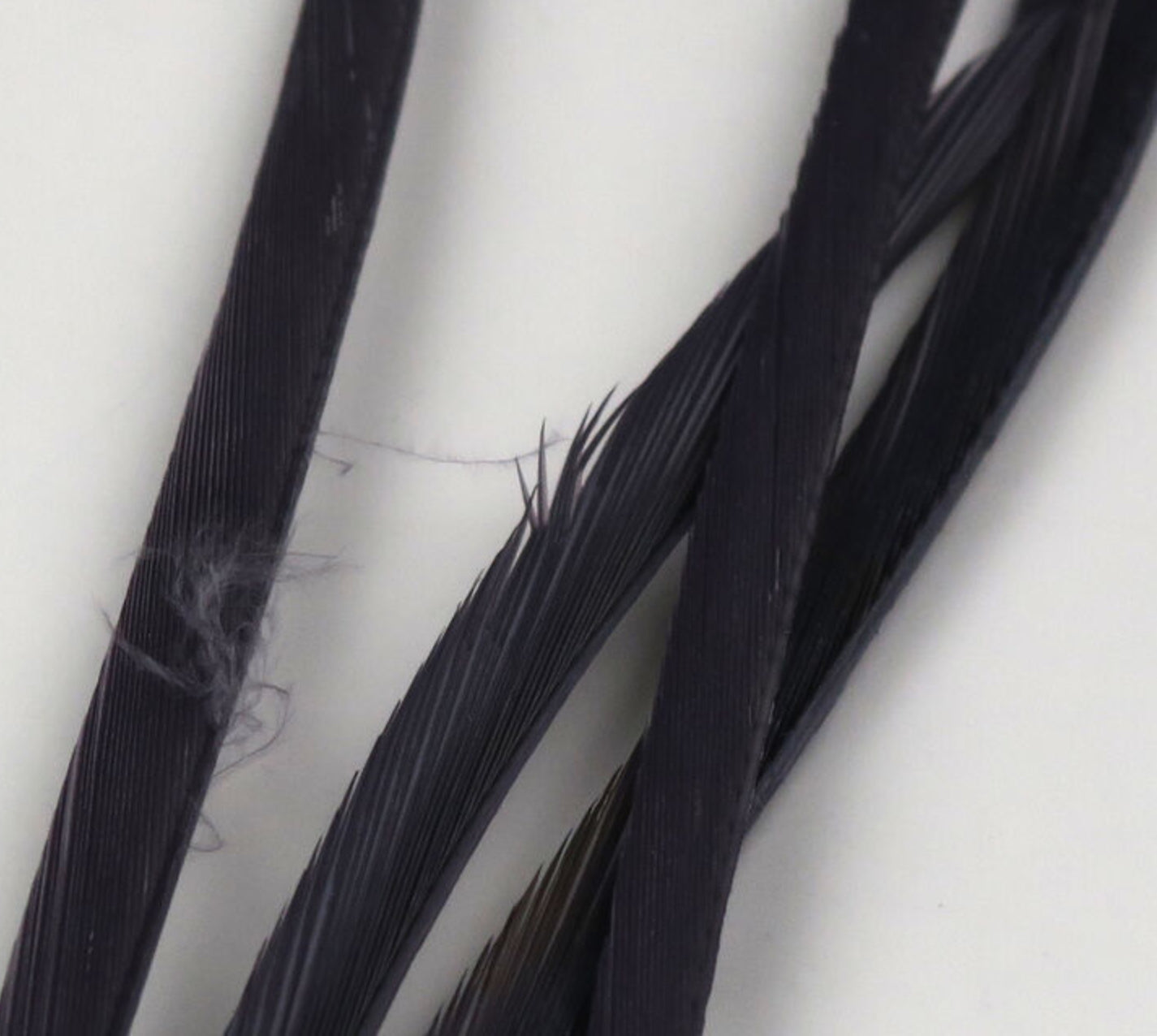 Stripped Goose Biots