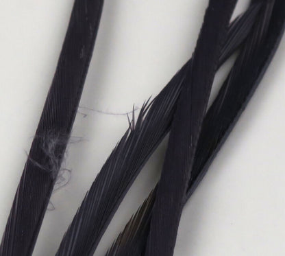 Stripped Goose Biots