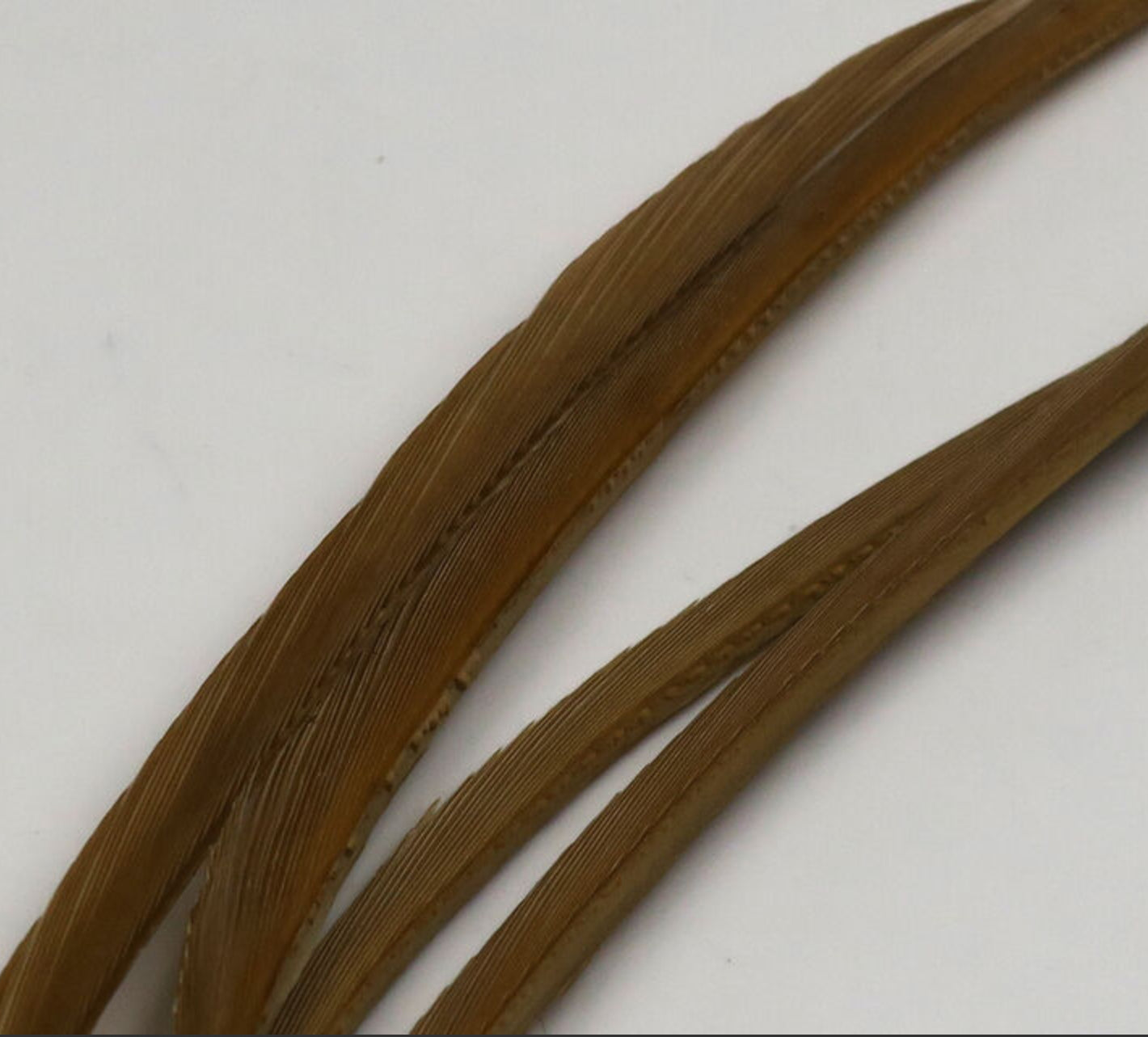 Stripped Goose Biots