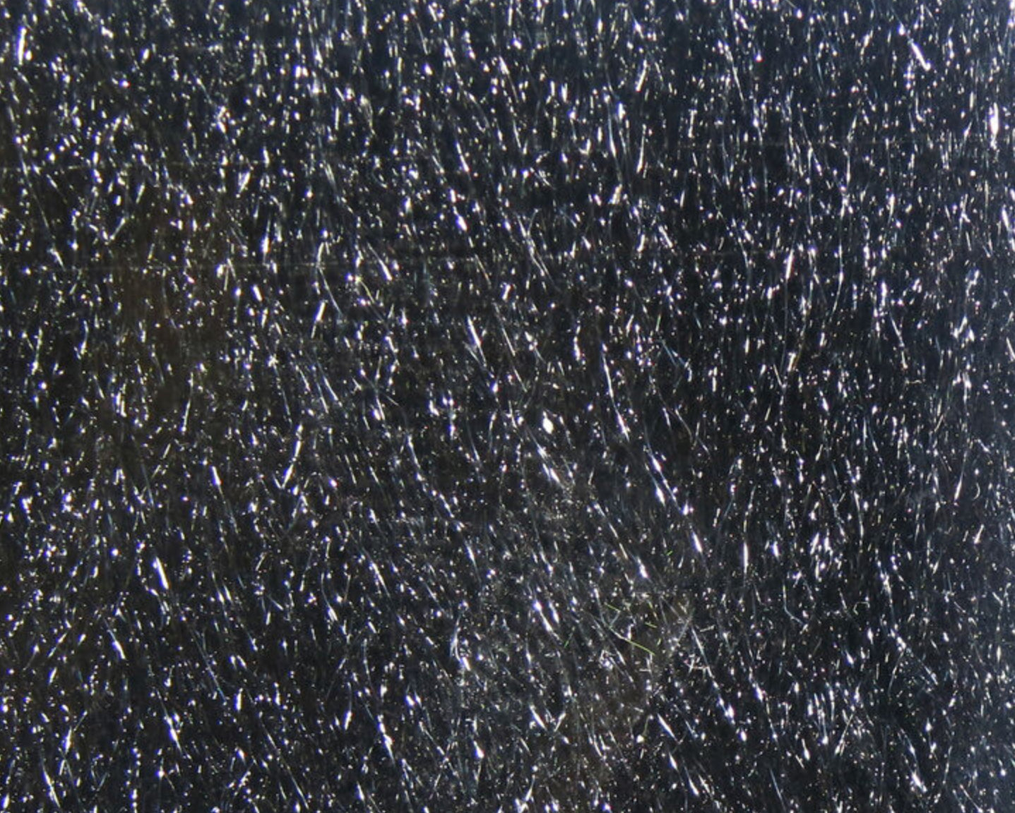 Ice Fur
