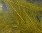 Cul De Canard 1 Gram Pack