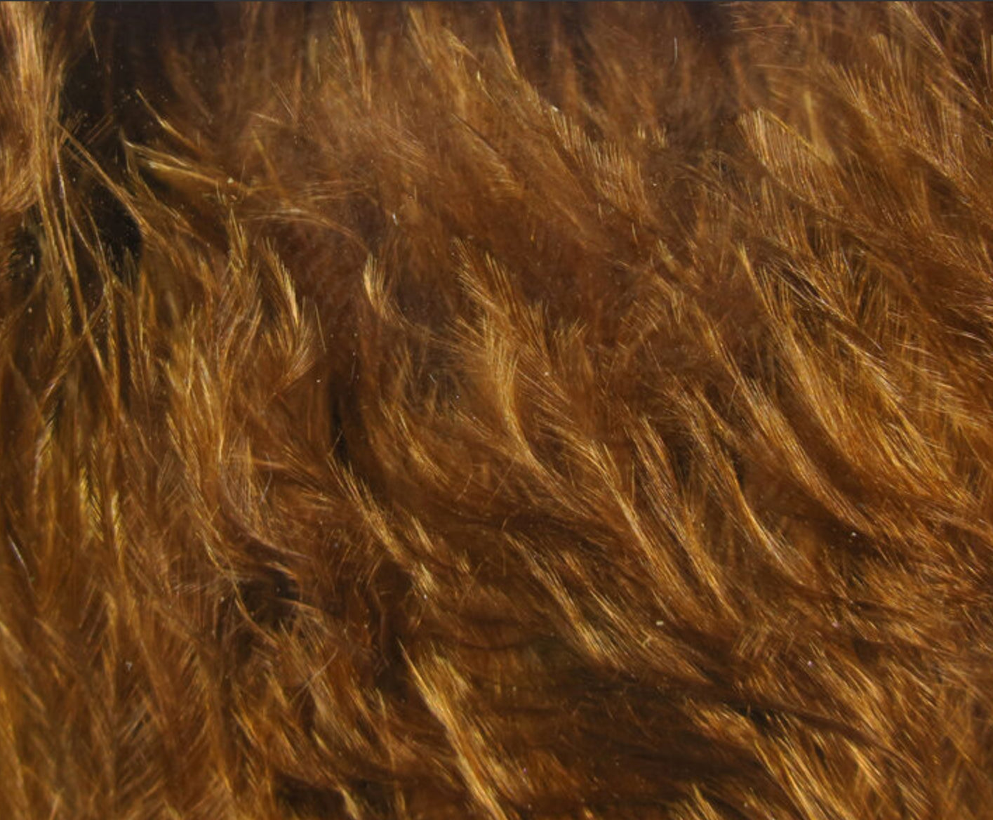 Wooly Bugger Marabou