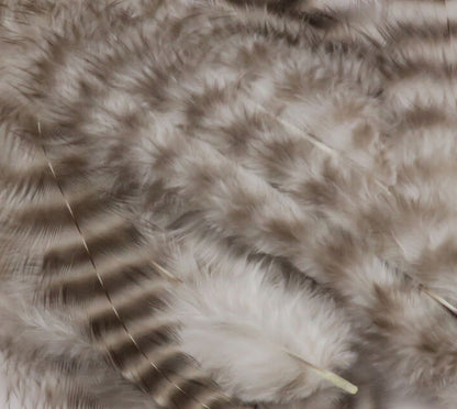 Grizzly Soft Hackle