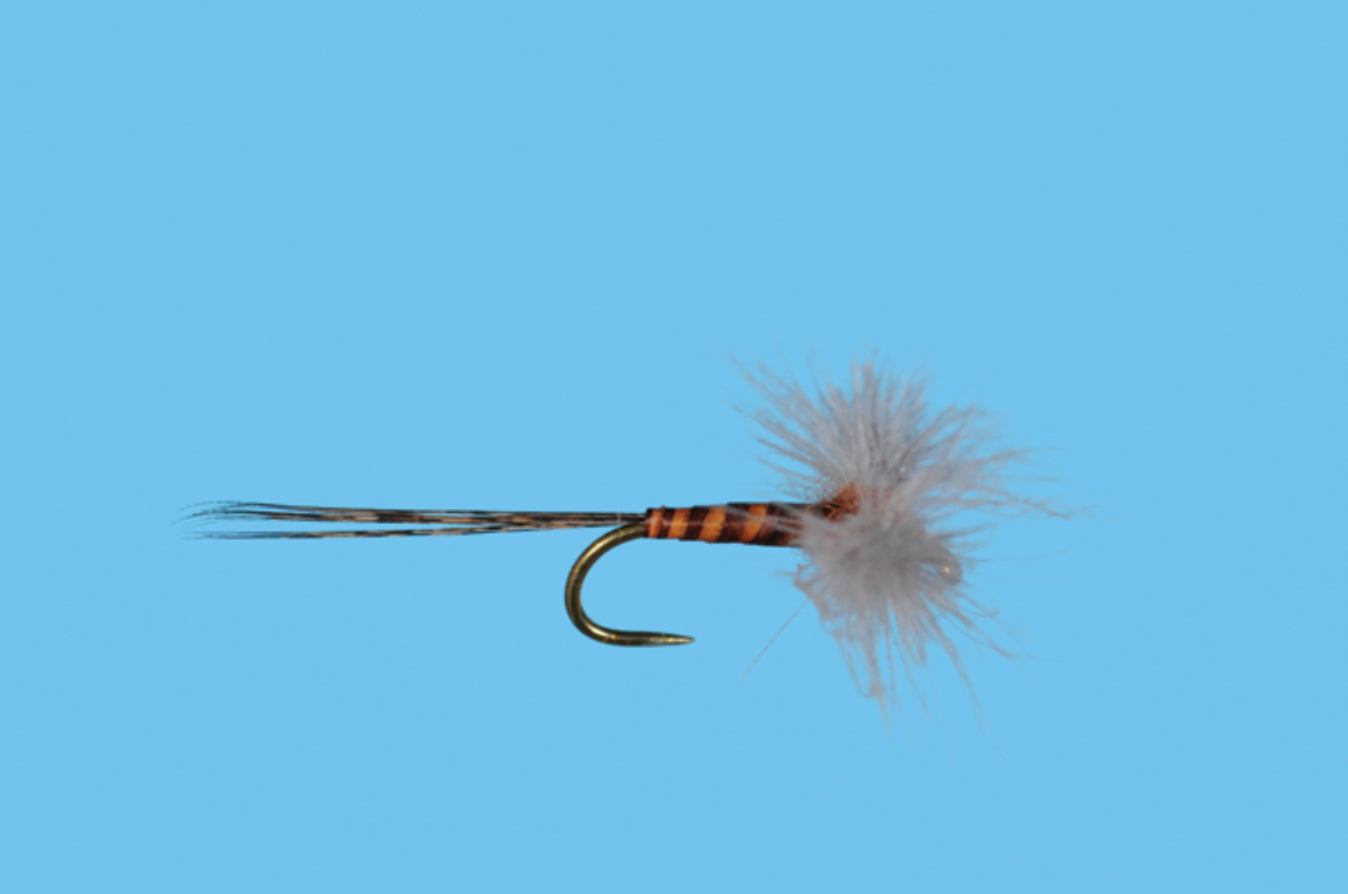CDC Biot Rusty Spinner