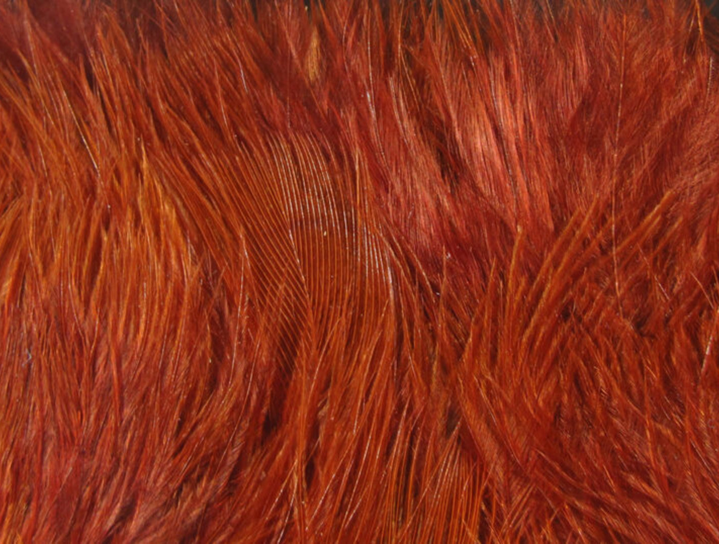 Wooly Bugger Marabou