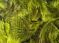 Premium Hungarian Partridge Feathers