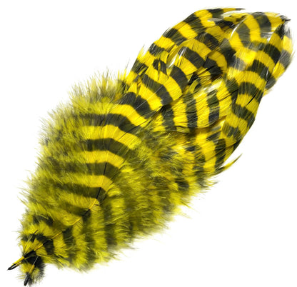 Barred Schlappen