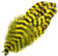 Barred Schlappen