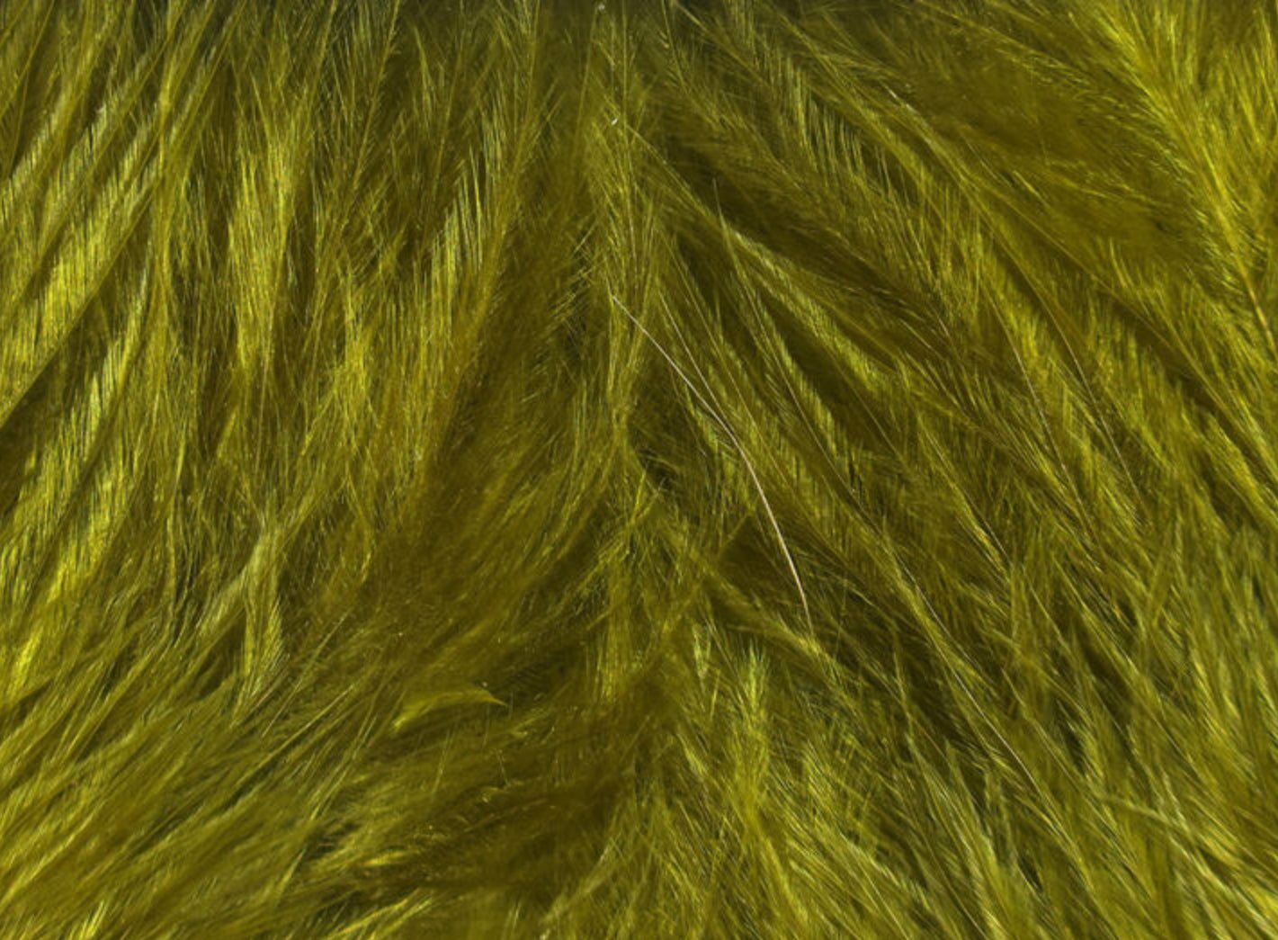 Wooly Bugger Marabou