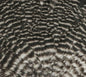 Hareline Hen Saddle