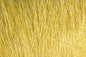Extra Select Craft Fur