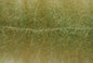 Craft Brush Medium 1.5"