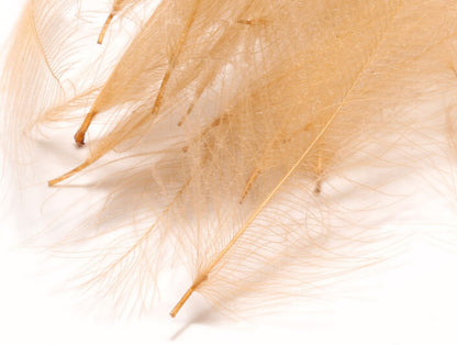 Cul De Canard 1 Gram Pack