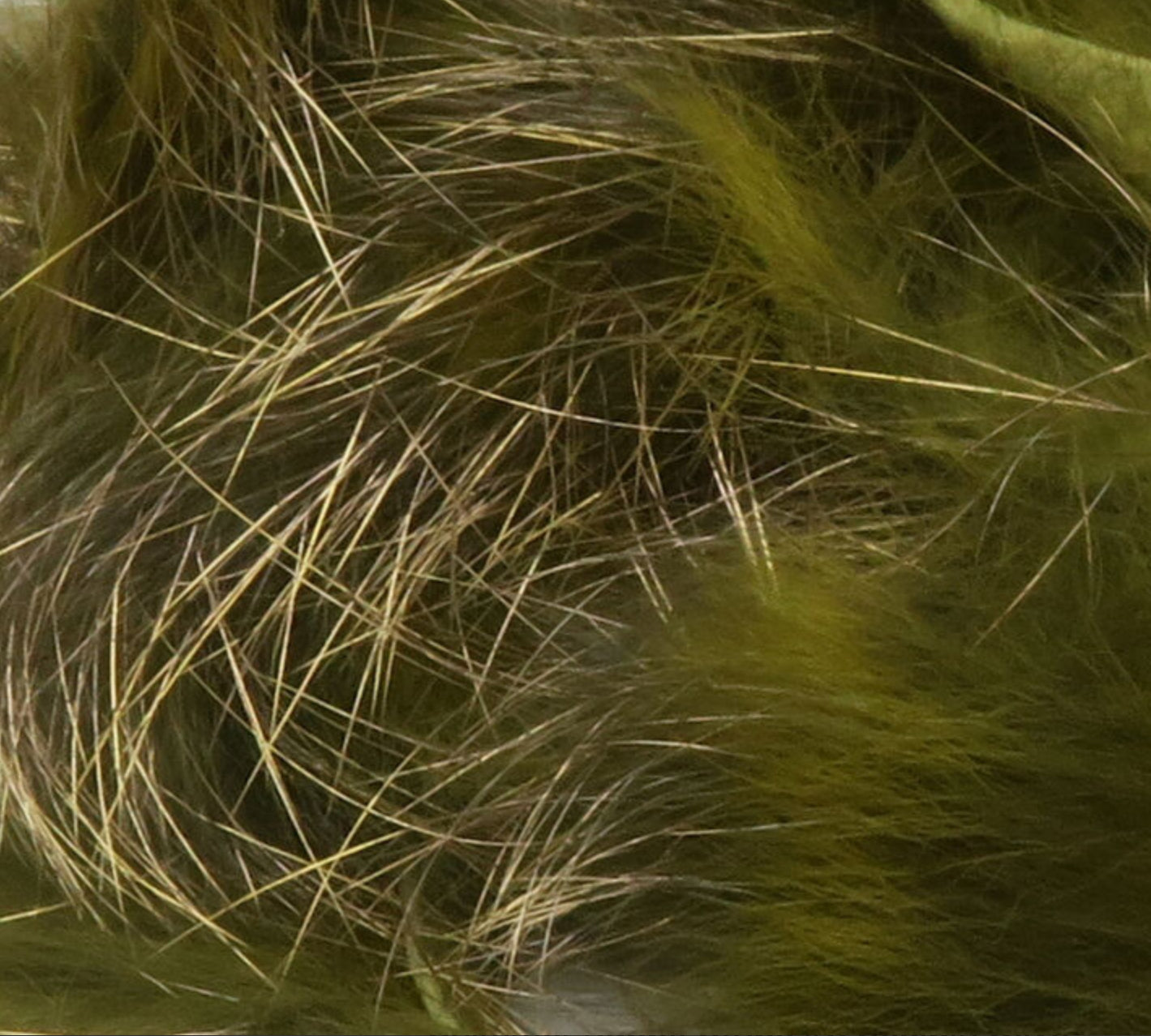 Shimmer Rabbit Strips