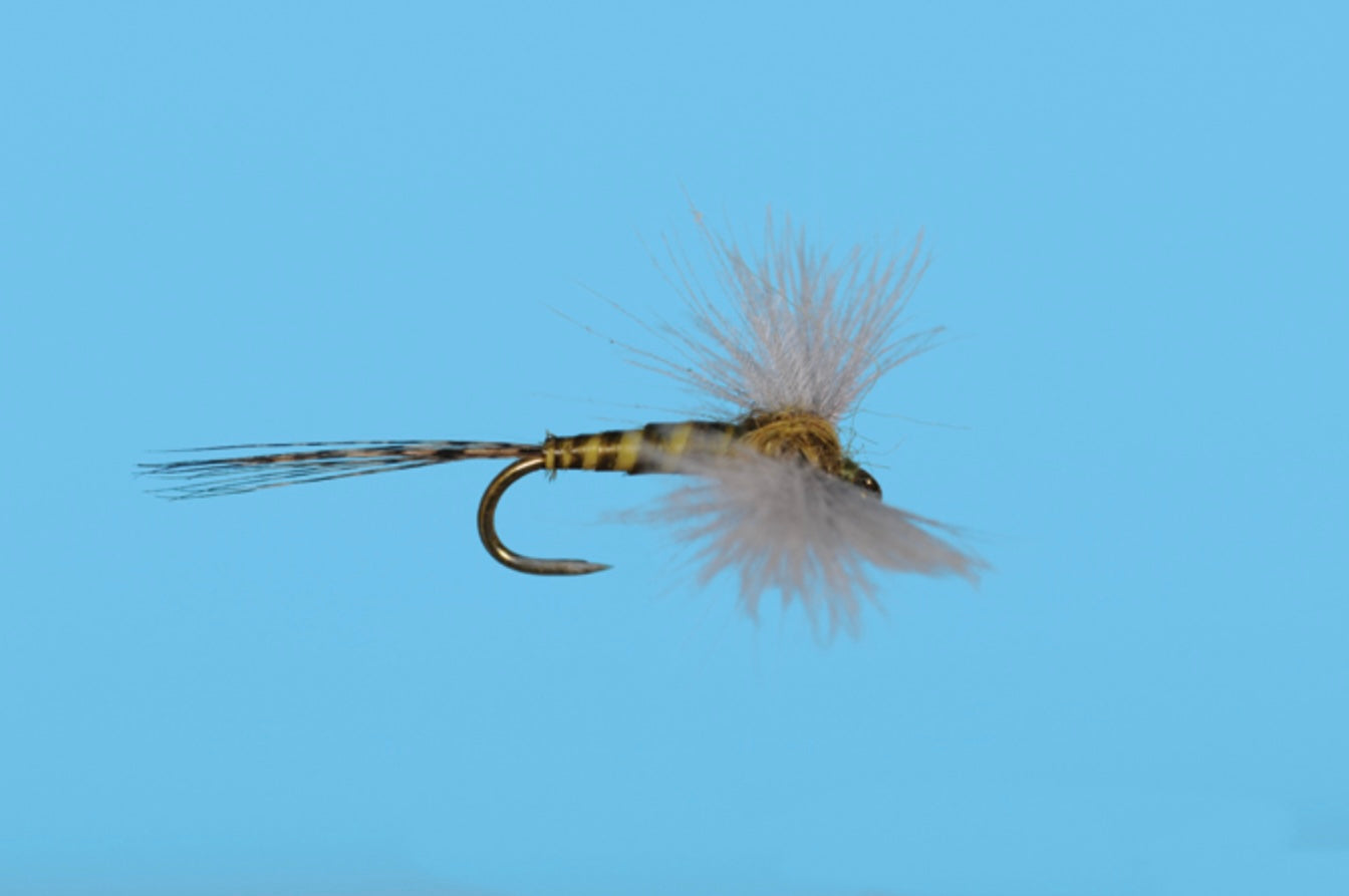 CDC Baetis Spinner