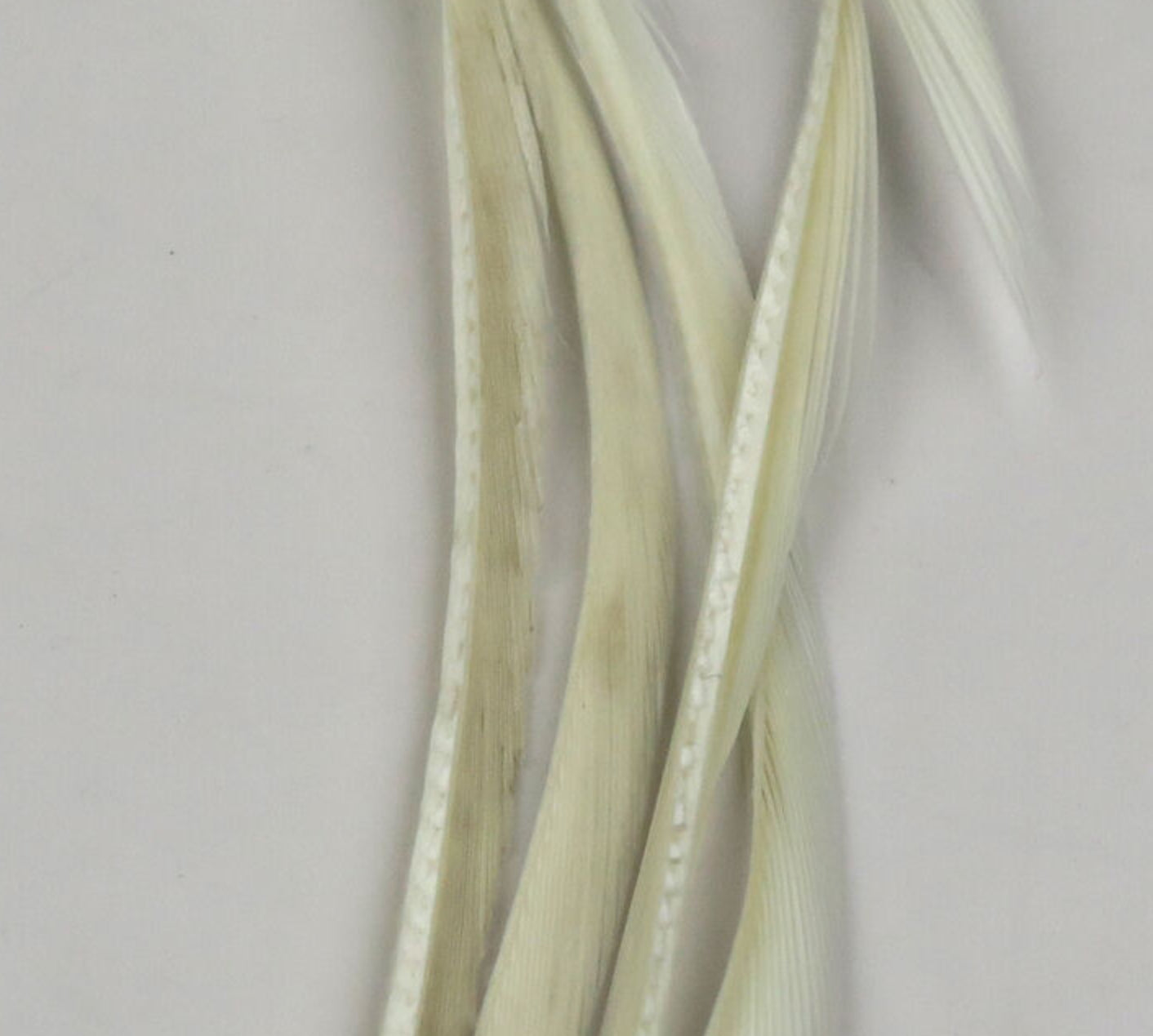 Stripped Goose Biots