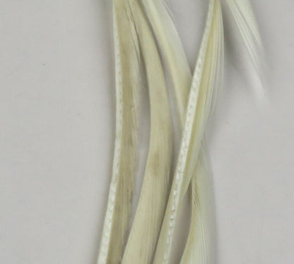 Stripped Goose Biots