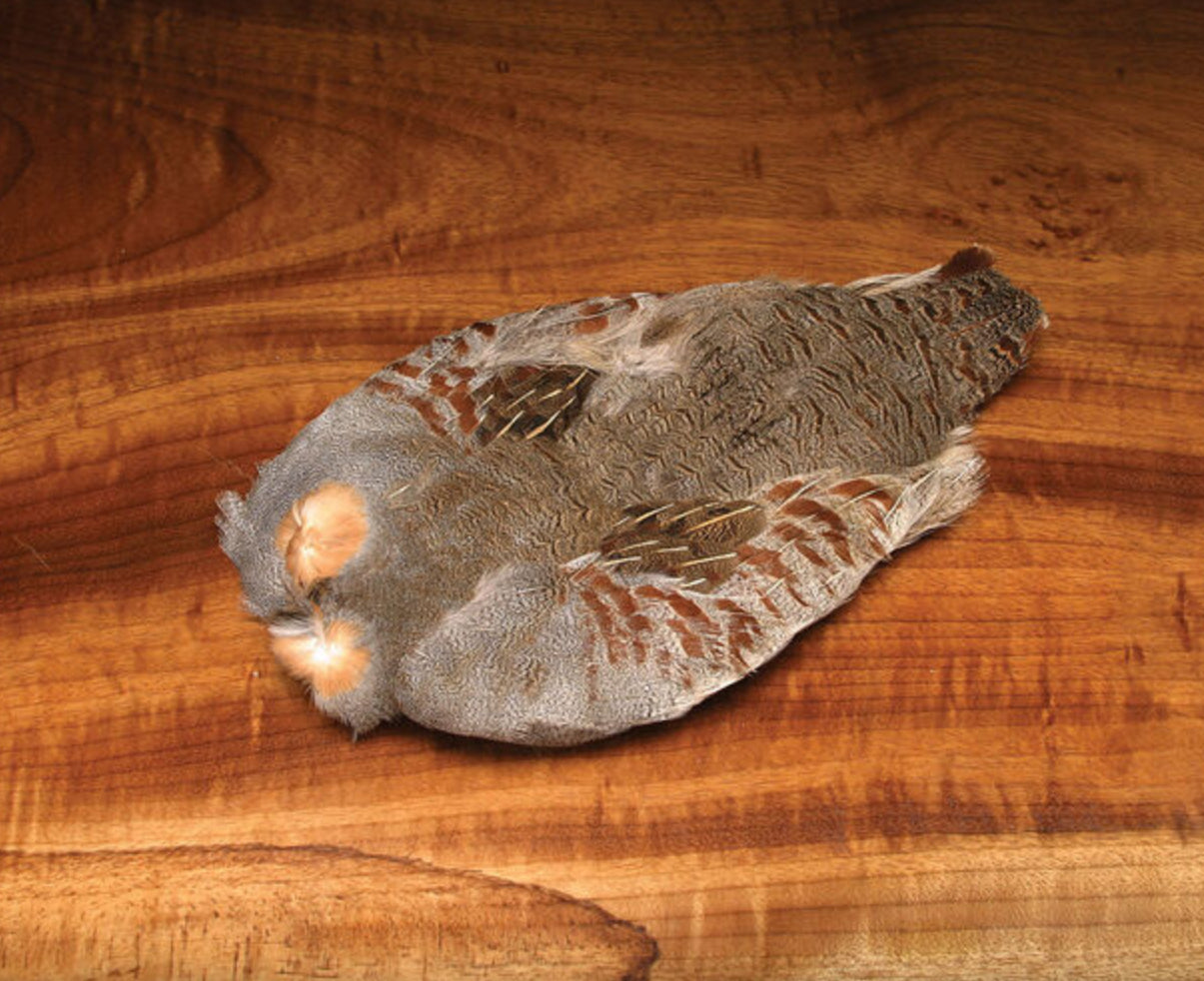 Premium Hungarian Partridge Feathers