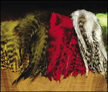 Strung Grizzly Variant Saddle Hackle