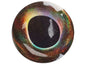 Fish Skull Living Eyes, 6mm