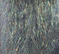 Shiner Peacock