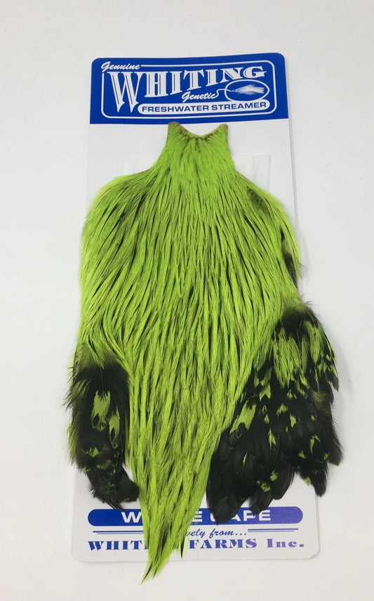 Freshwater Streamer Hen Cape Badger
