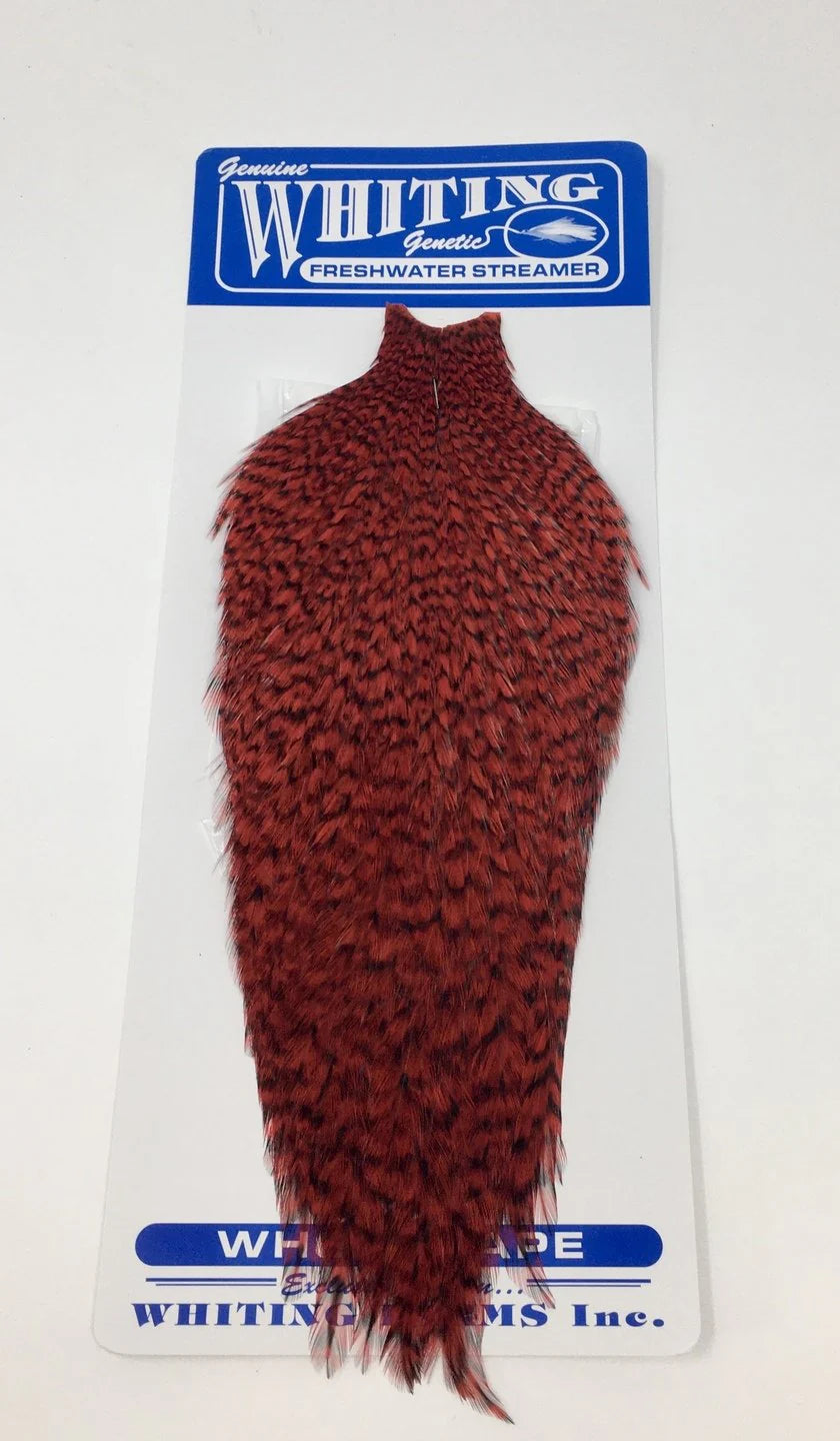 Freshwater Streamer Hen Cape Badger