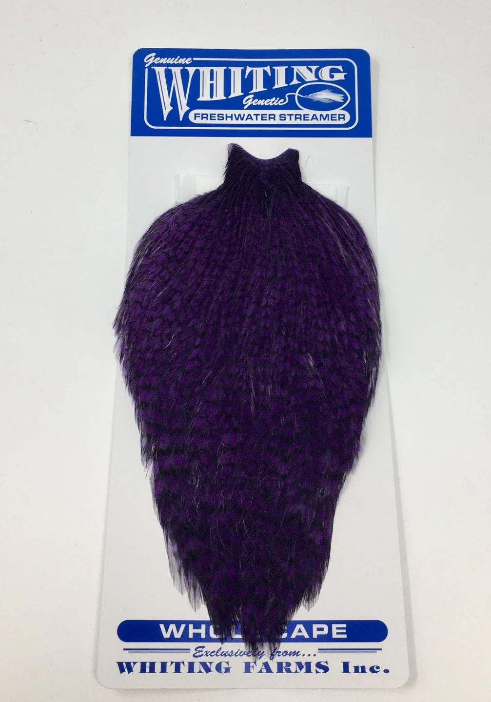 Freshwater Streamer Hen Cape Badger