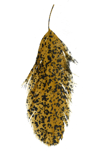 Mottled Schlappen