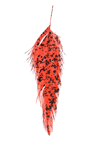 Mottled Schlappen