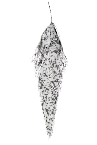 Mottled Schlappen