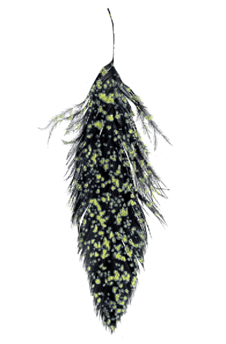 Mottled Schlappen