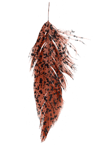 Mottled Schlappen