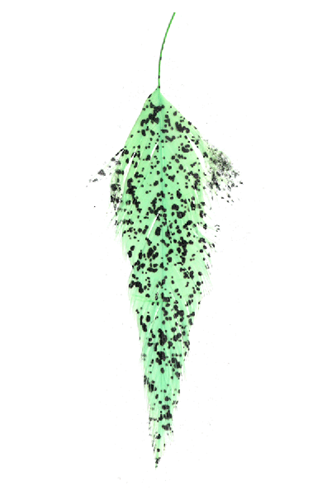 Mottled Schlappen