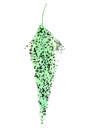 Mottled Schlappen